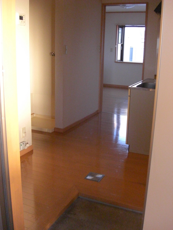 ライトドリーム