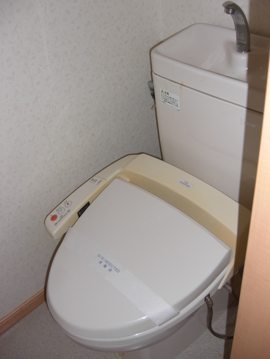 ライトドリーム